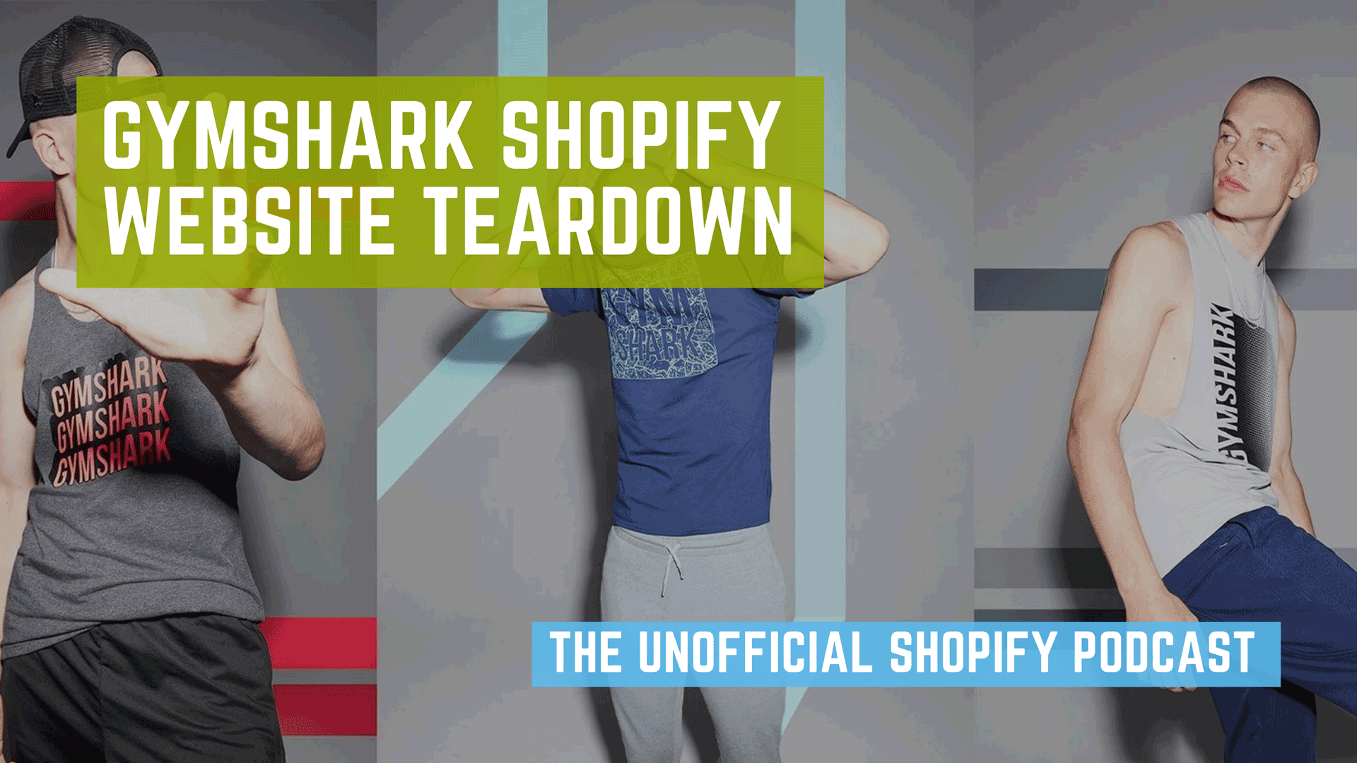 What can we learn from this billion dollar Shopify store?